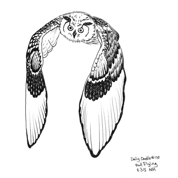 No.170 Owl Flying