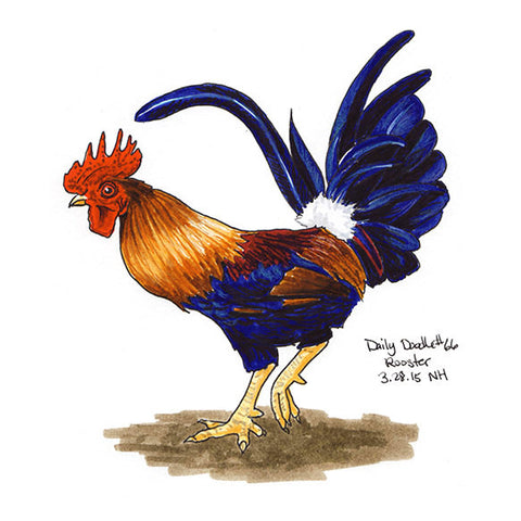 No.066  Rooster