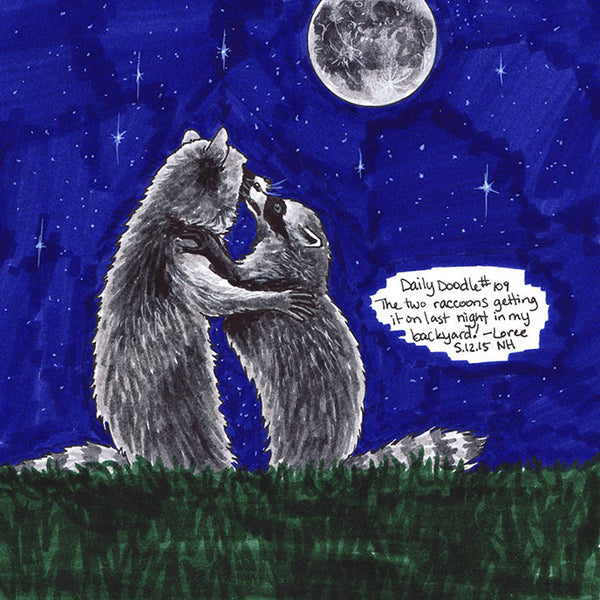 No.109 The two raccoons getting it on last night in my backyard!